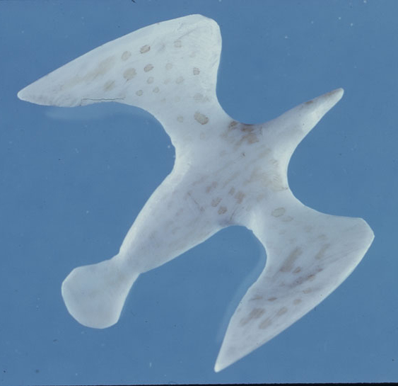 Landing-PitseolakAshoona