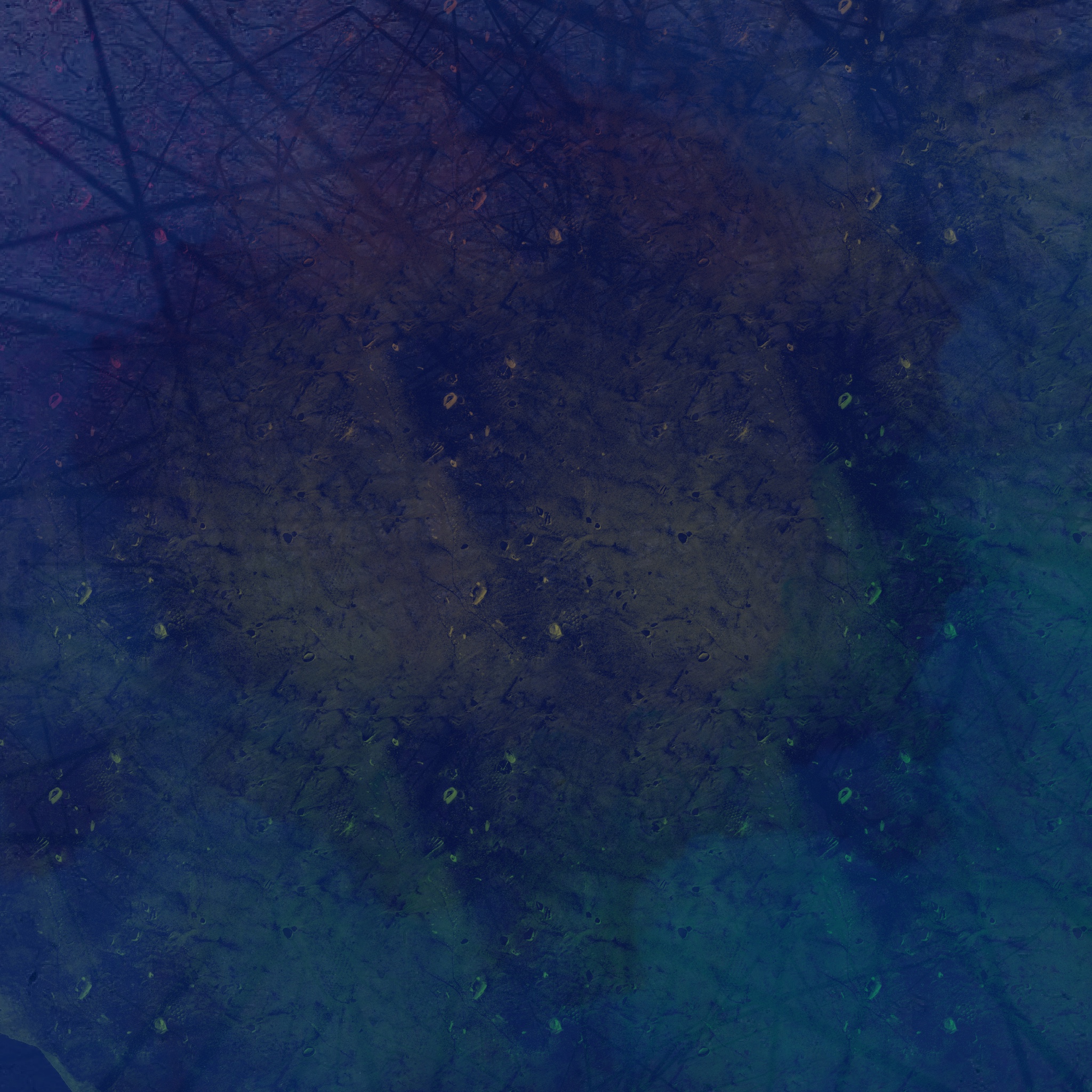 SeriesDesign1_KyleAleekuk (1)