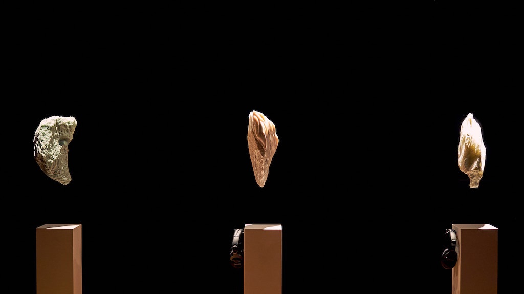 Katajjausivallaat le rythme bercé (2018)