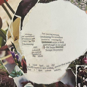 Homecoming//Torngat Mountains (2023)