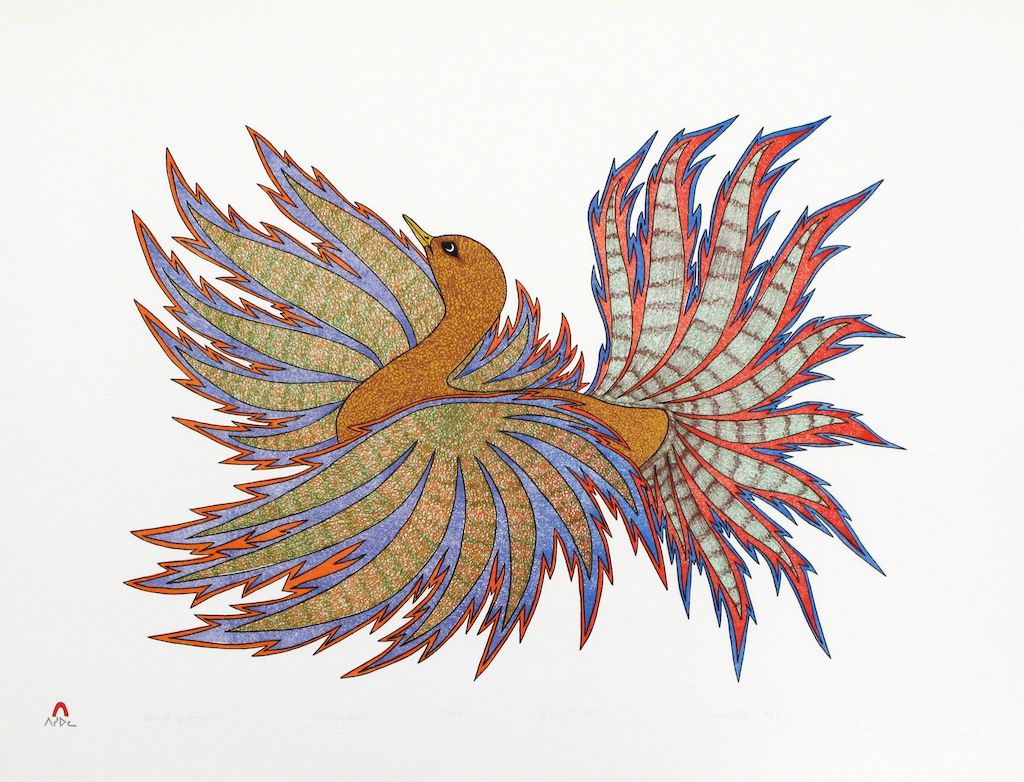 Bird of Baffin (1981)