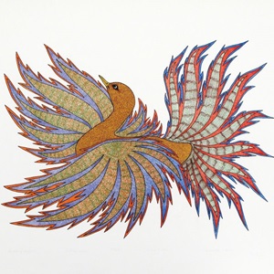 Bird of Baffin (1981)