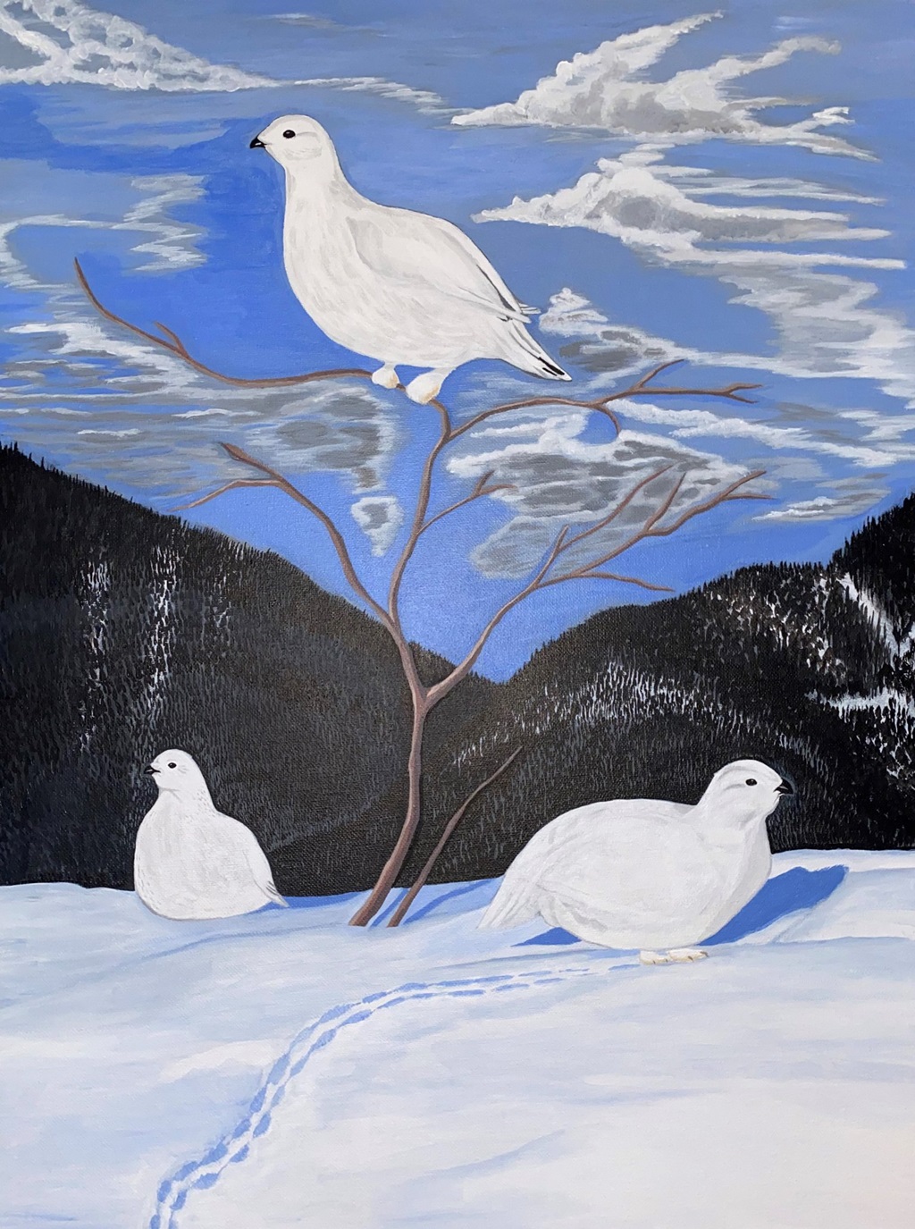 Labrador-iup Omajuit (Animals of Labrador) (2022)