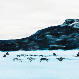 Heritage Dog Team Race (2019)