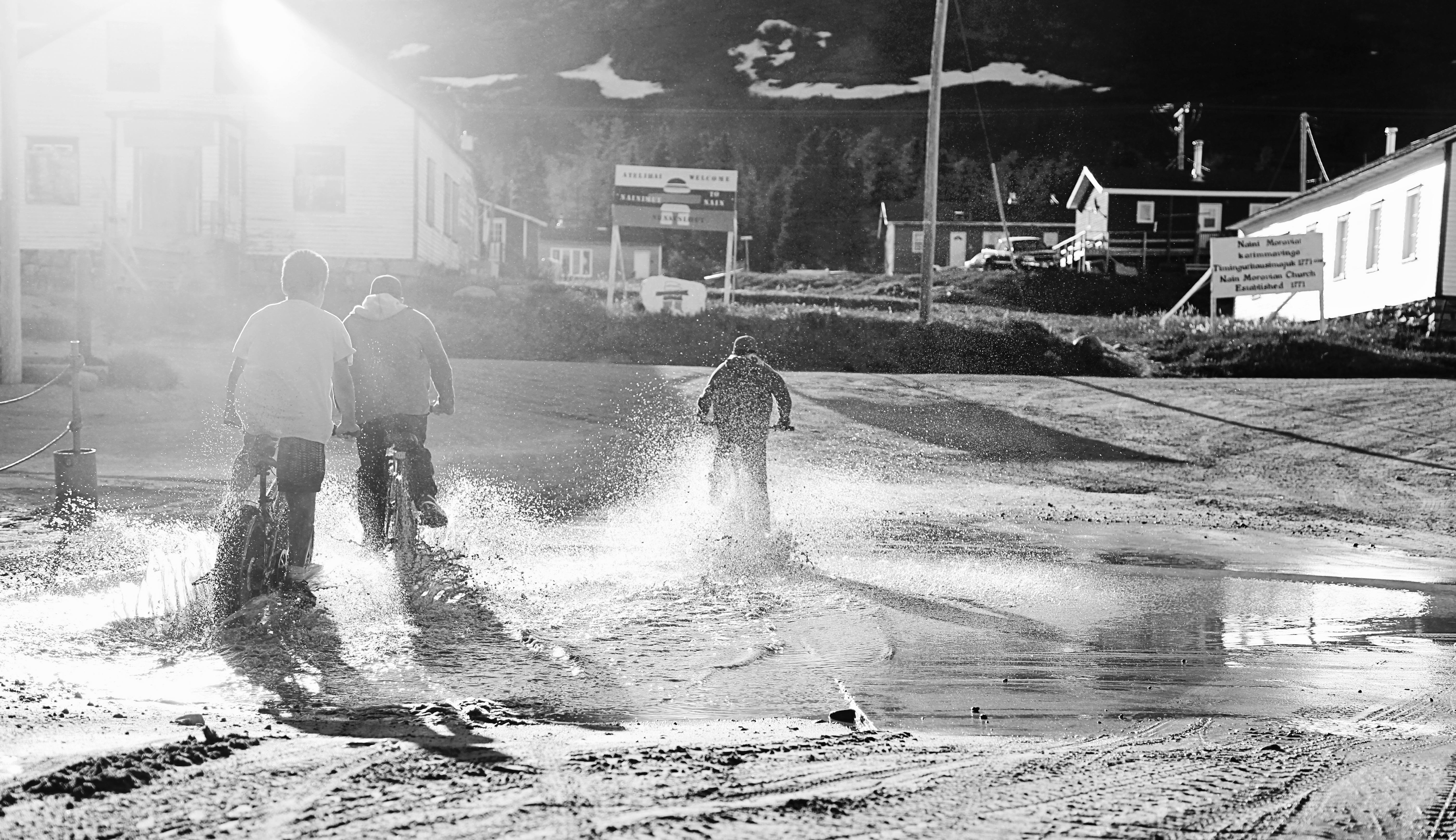 Untitled (from the series A Way of Life) (2016)