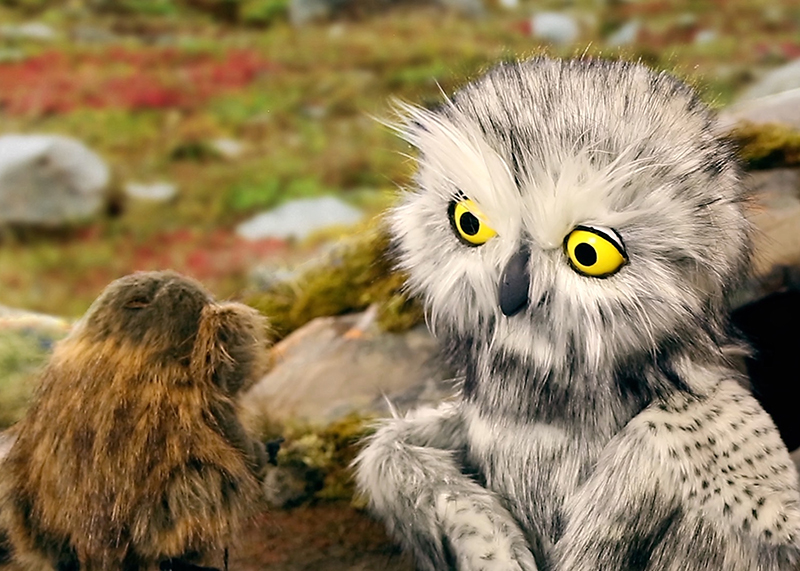 The Owl and the Lemming (2016) (still)