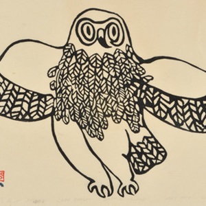 Owl (1959)