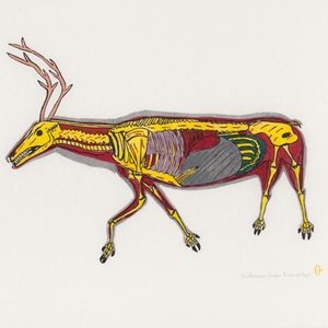 The Skeletoned Caribou (1974)