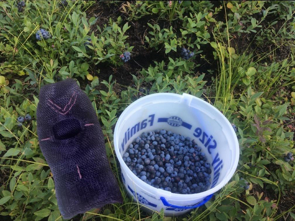 Tunniit Ski Mask (2023)