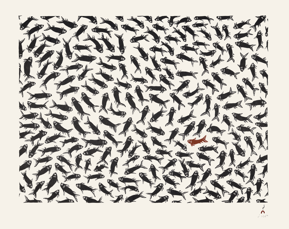 School of Fish (2015)