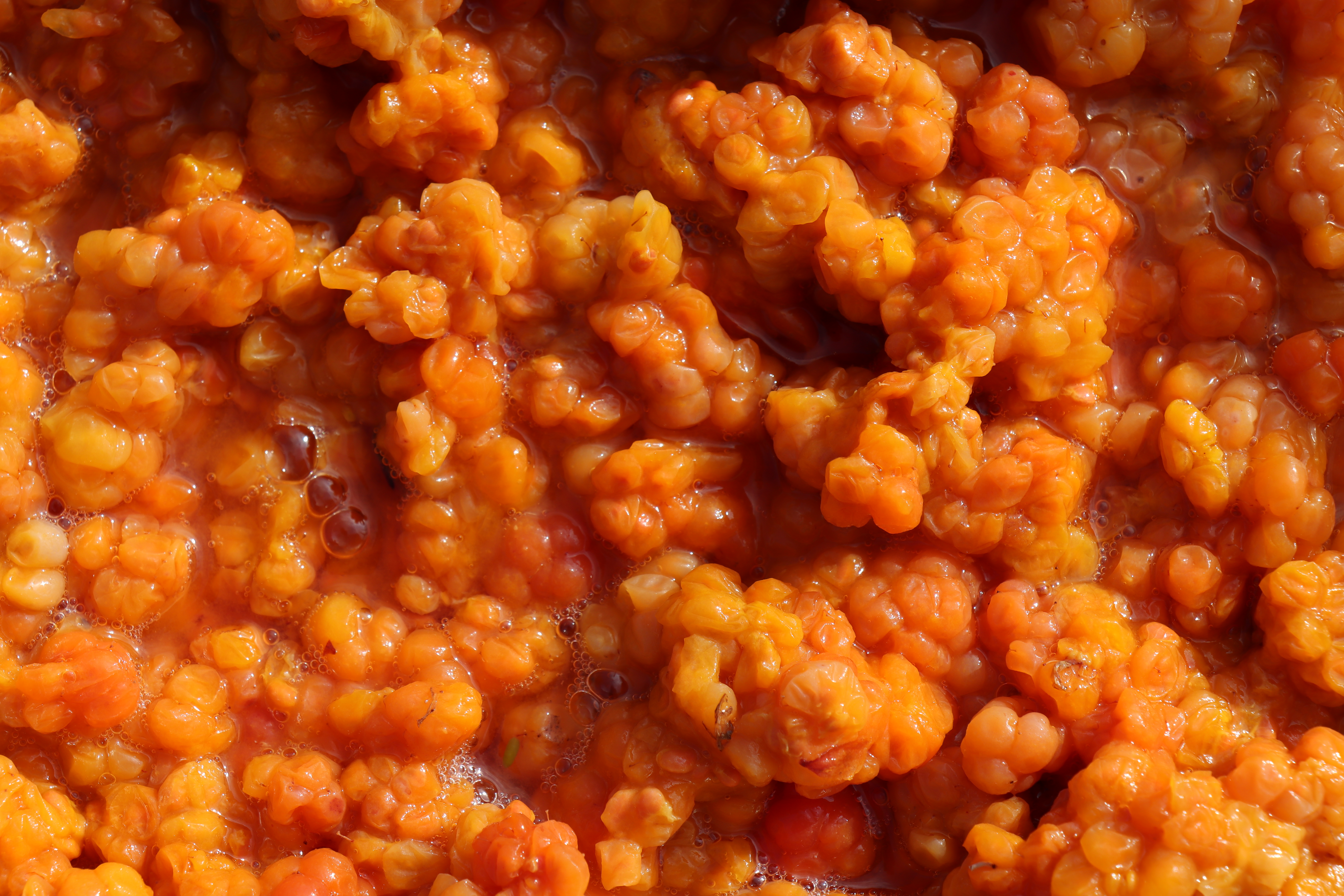 The Colour Aqpik (2023)