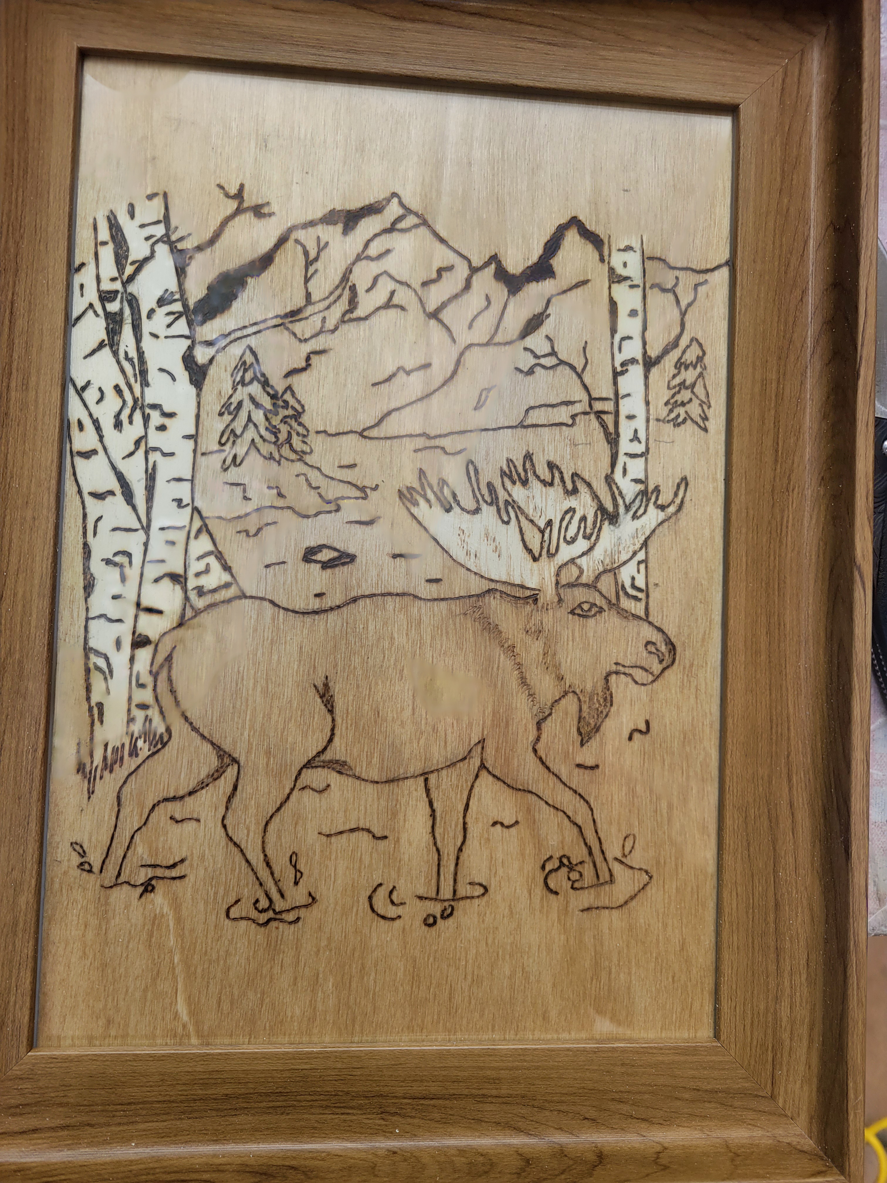 Moose crossing the land (2026)