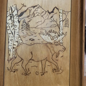 Moose crossing the land (2026)