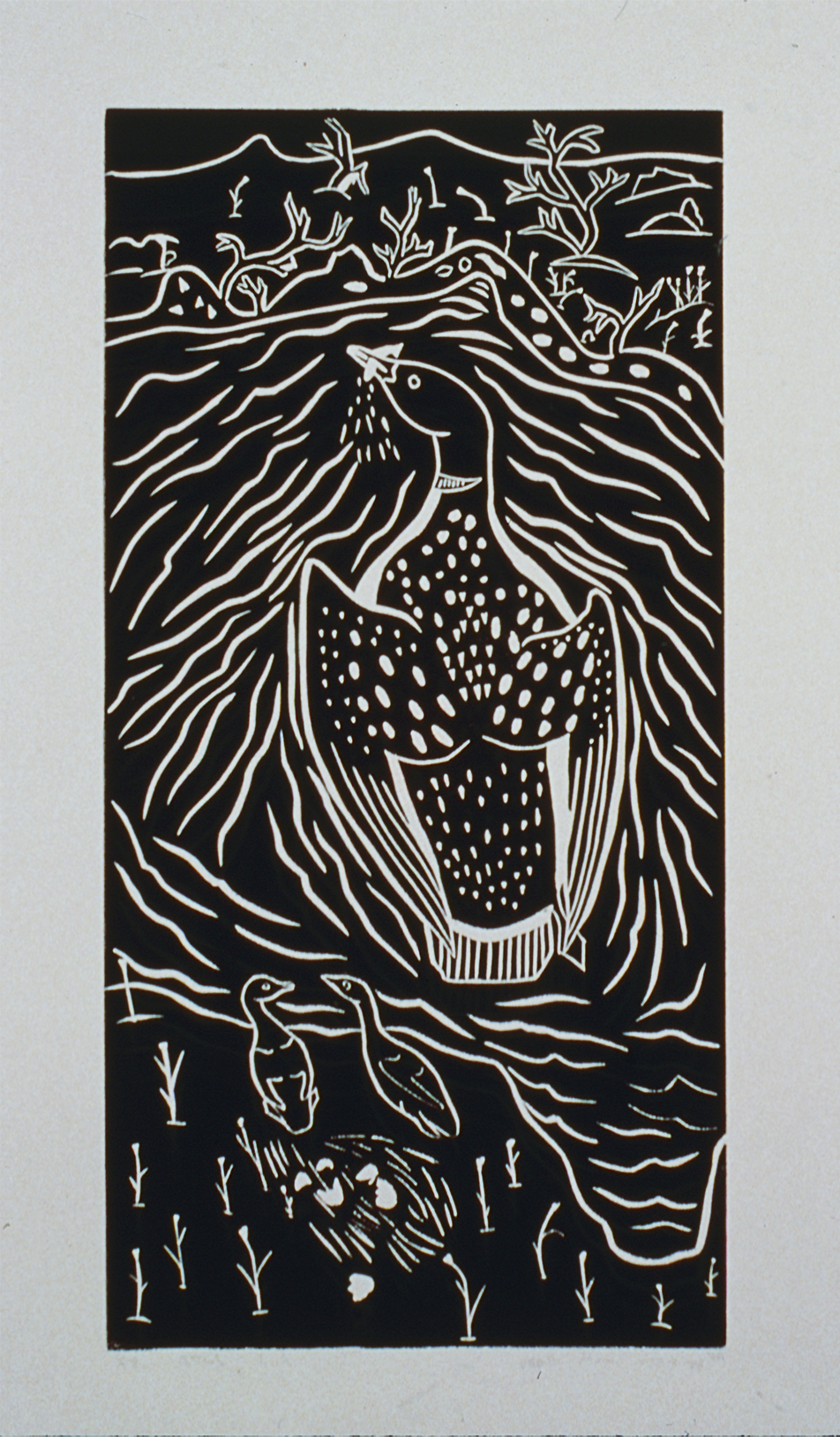 Loon with Baby (1988)