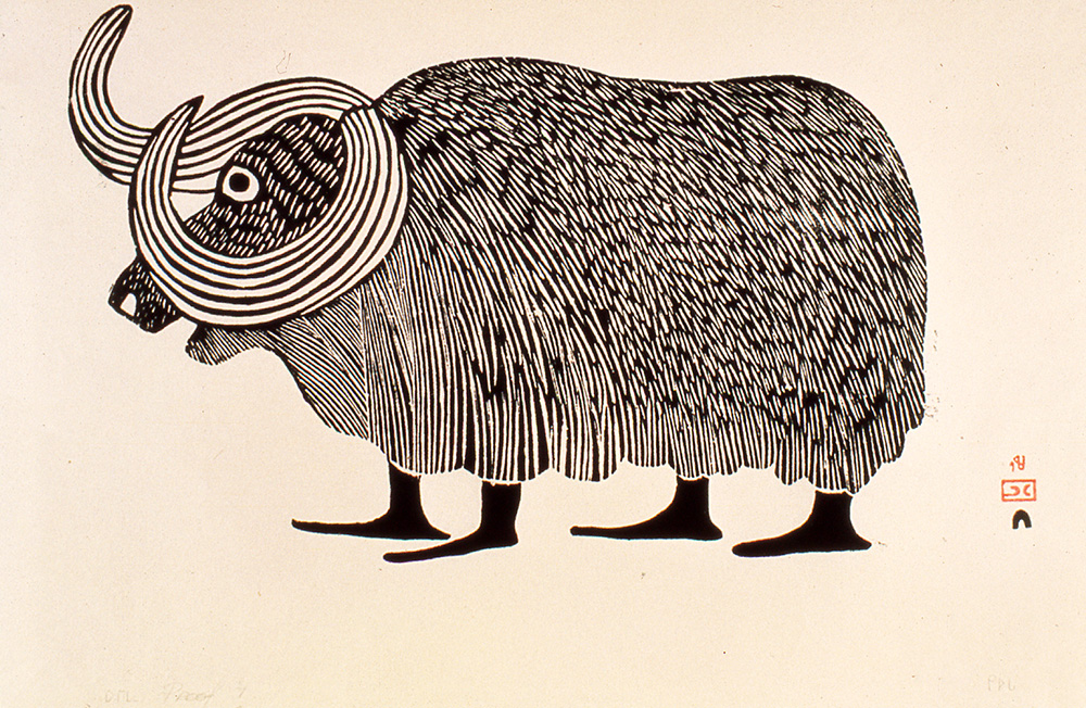 Musk Ox (1963)