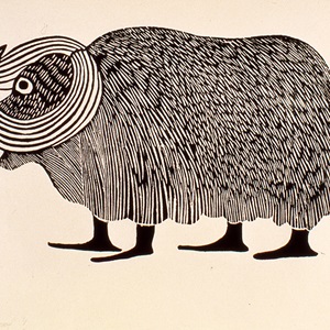 Musk Ox (1963)