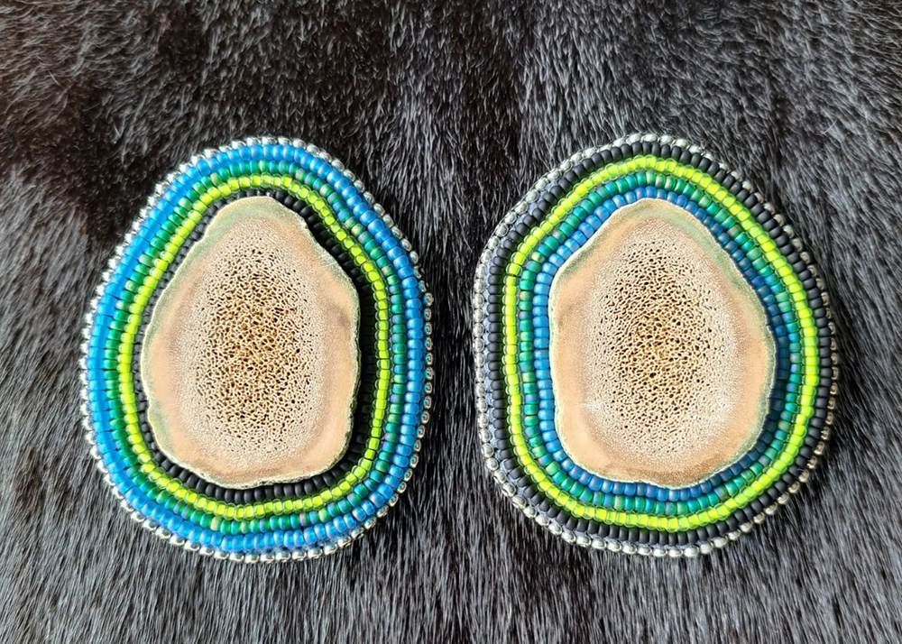 Caribou antler earrings (2022)