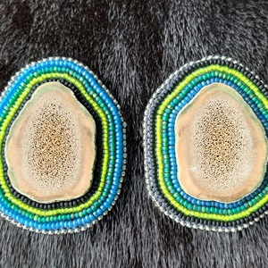 Caribou antler earrings (2022)