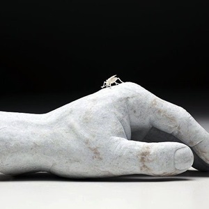 Mosquito on Hand (2011)