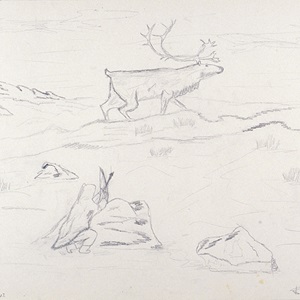 Caribou Hunting (1964)