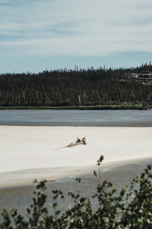 Untitled (Beach) (2019)