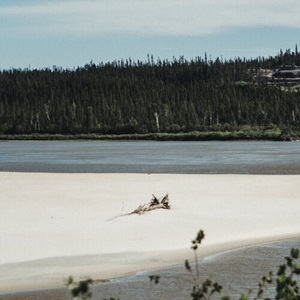 Untitled (Beach) (2019)