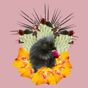Prickly (2023)
