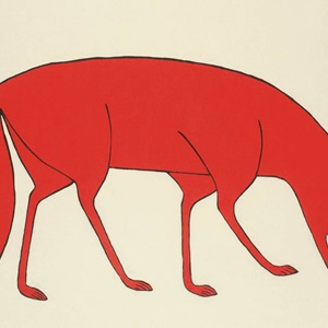 Red Fox (2012)