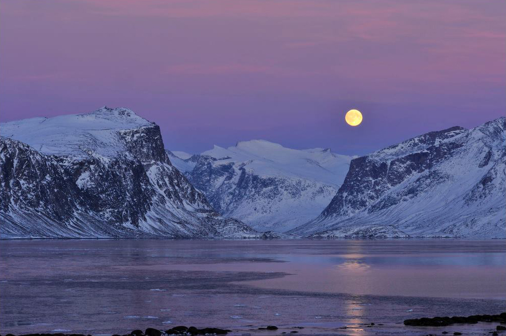 Moon over the park (2013)