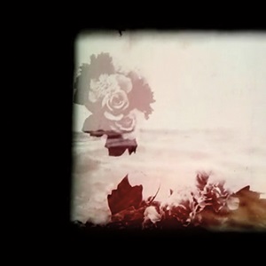 A Northern Portrait (2012)