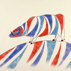 Muskox Under the Sun (1979)