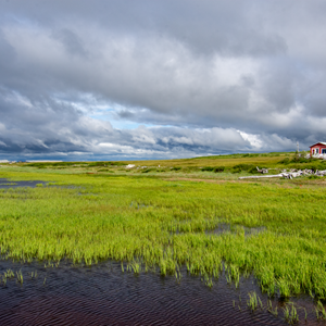 Nome, Sweet Home (2024)