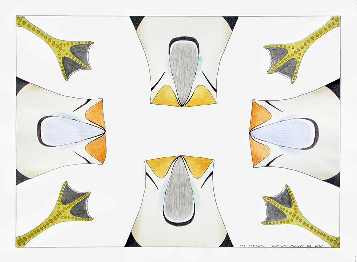 Untitled (puffins) (2009)