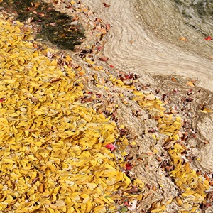 Palette and Plastic (2022)