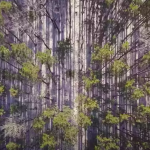 My All To You (2018)