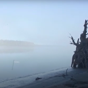 Wild Kitchen Episode 201: Yellowknife Birch Camp (2020)