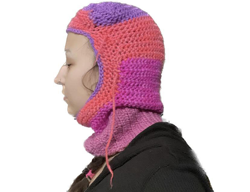 Bi-Pride Balaclava (2023)