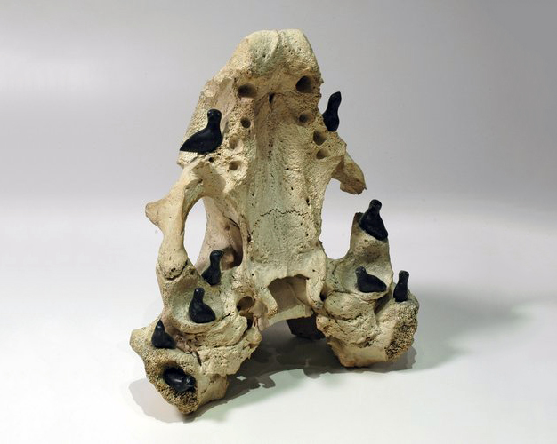 Birds Nesting Colony (n.d.)