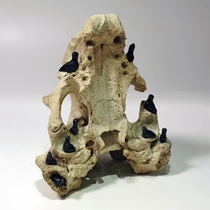 Birds Nesting Colony (n.d.)