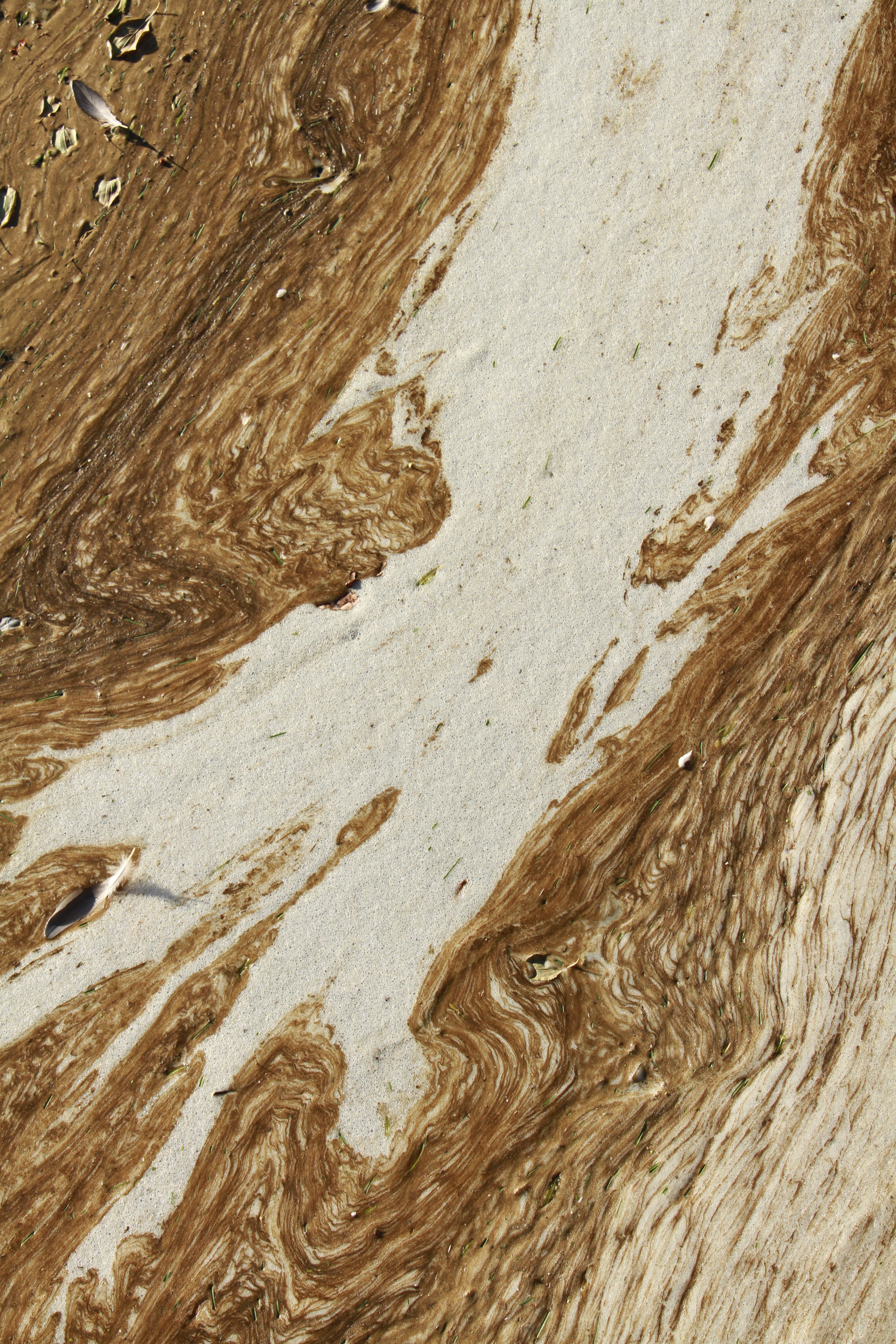 Split Barista (2020)