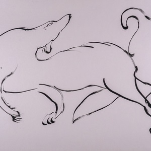 Study of a Wolf in Motion