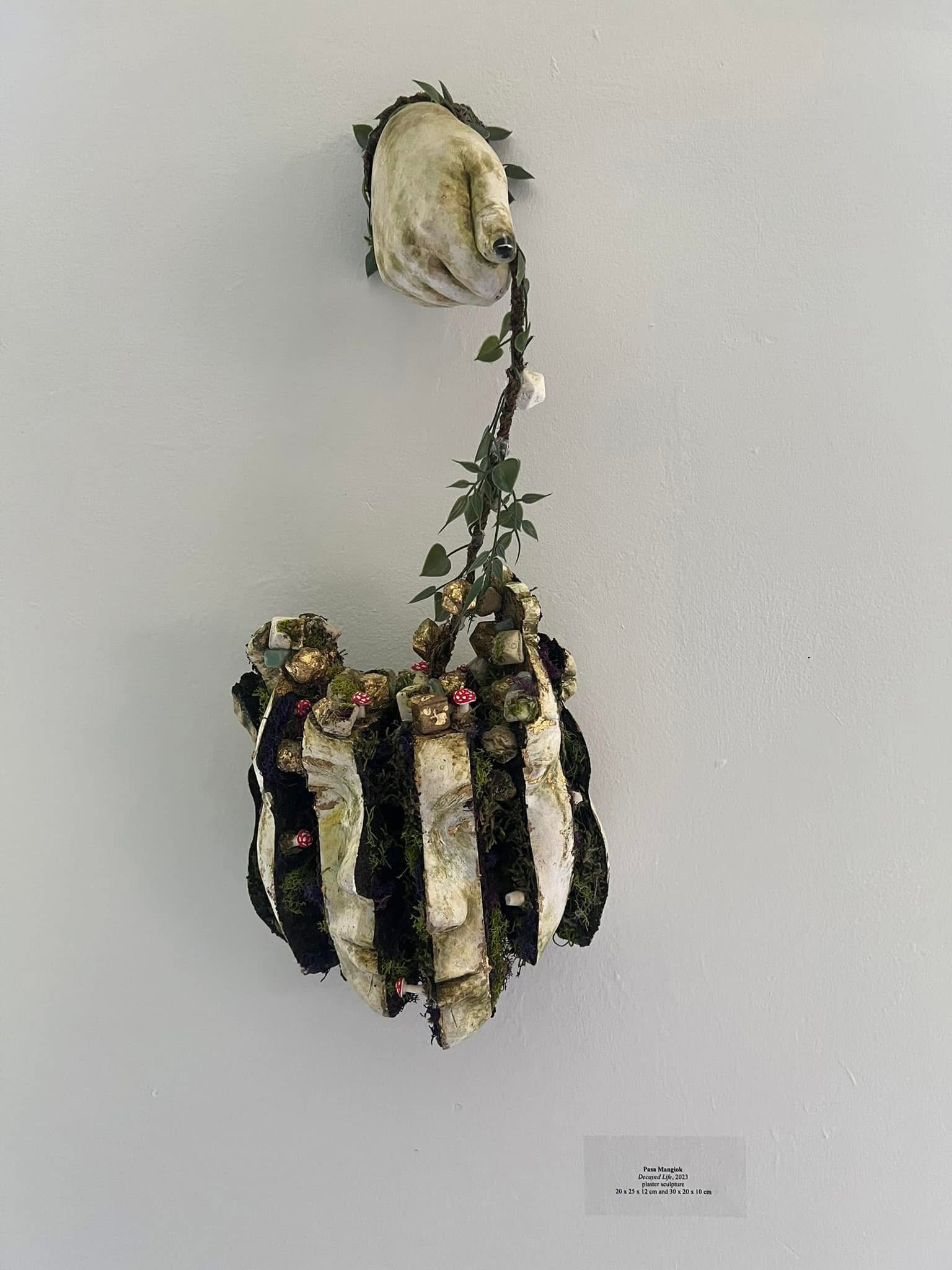 Treasure trove mind (2023)