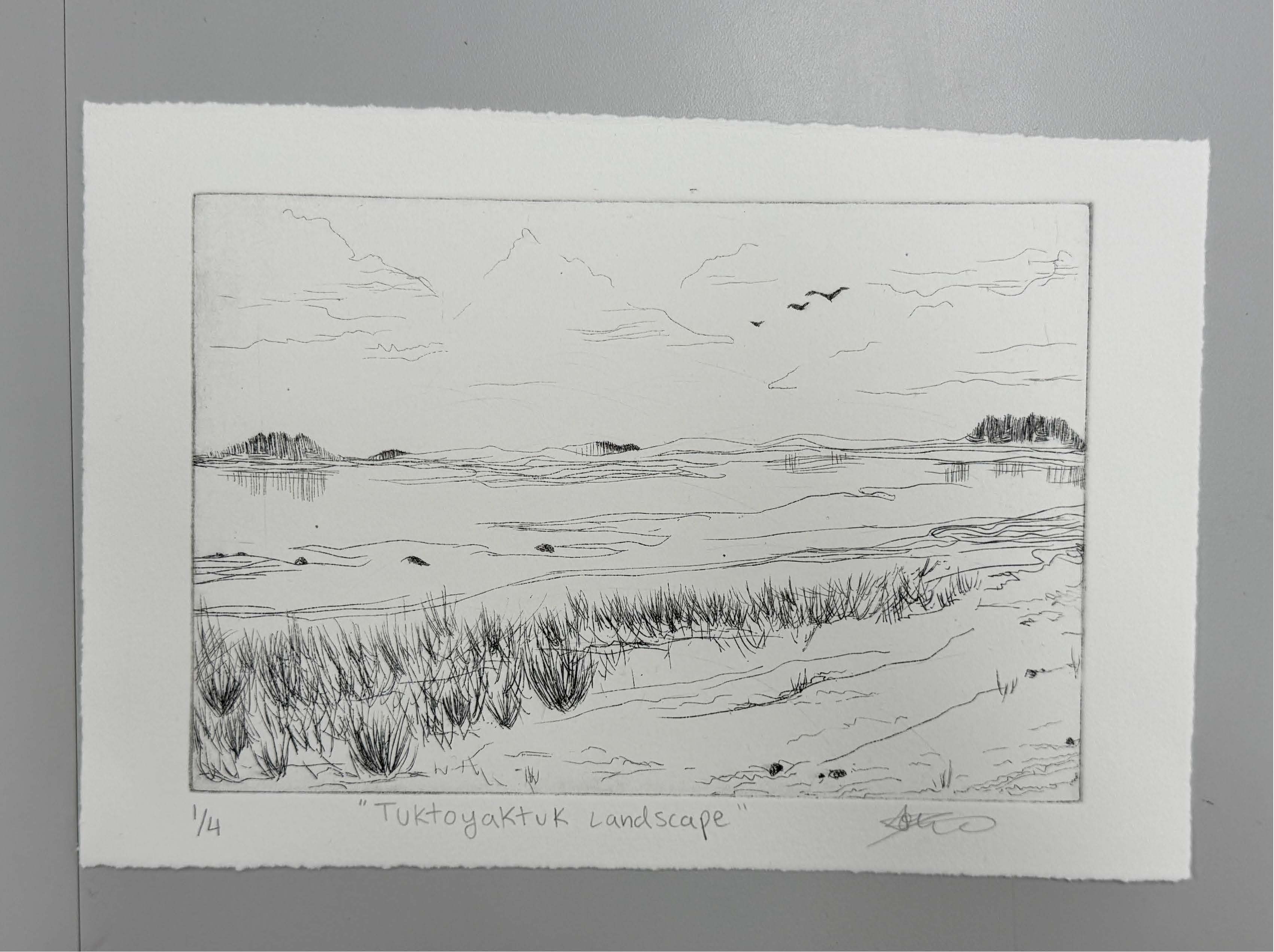 Tuktoyaktuk Landscape (2025)