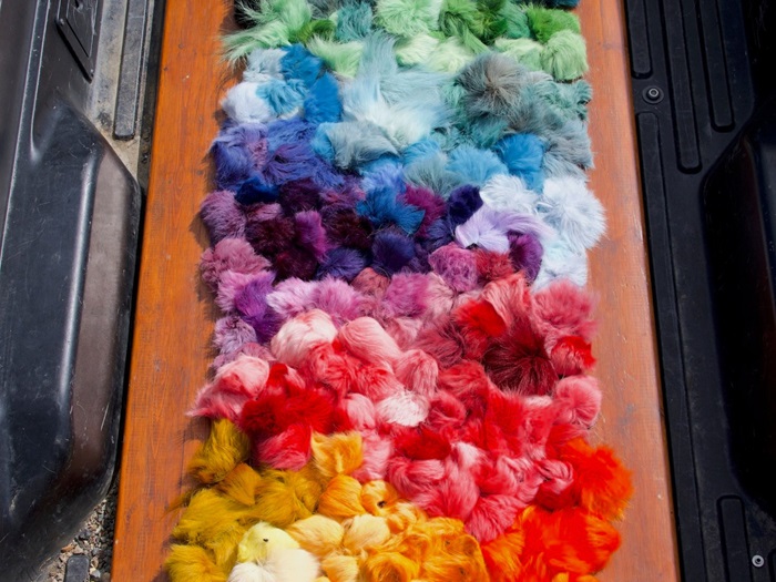 Caribou_Hair_Colouring_ArticlePicture