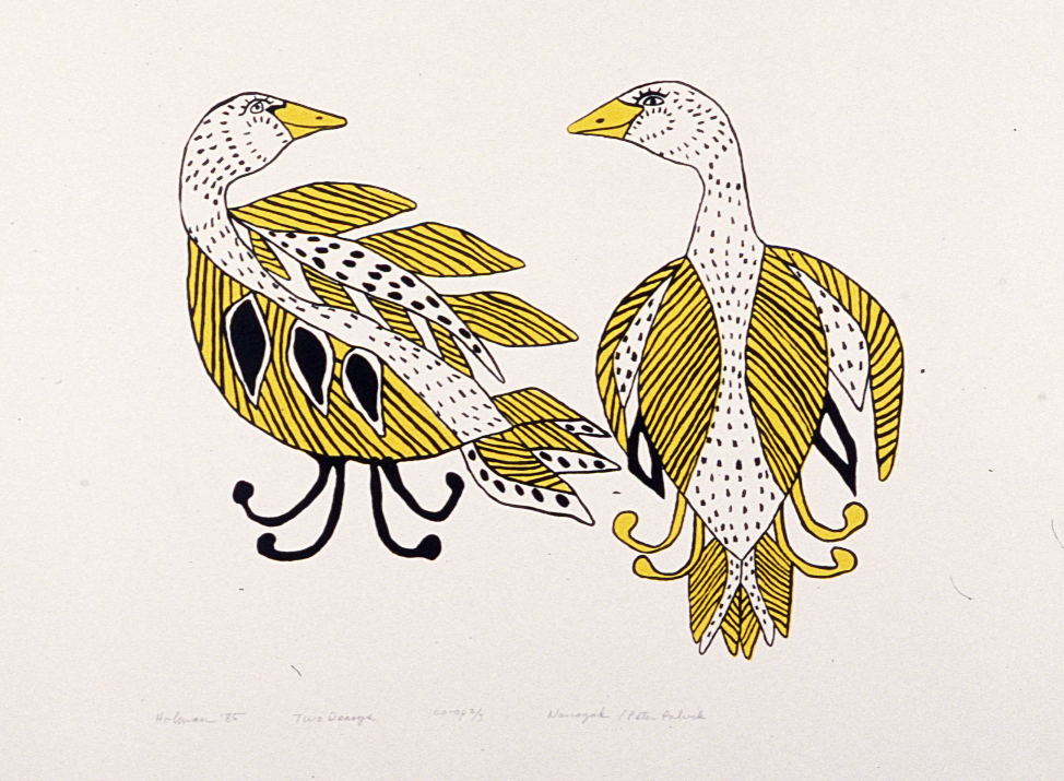 GooseAgnesNanogakTwoDecoys