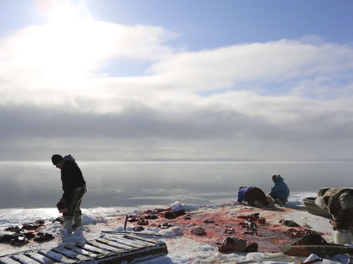 AletheaArnaquqBarilAngryInukStillCrop