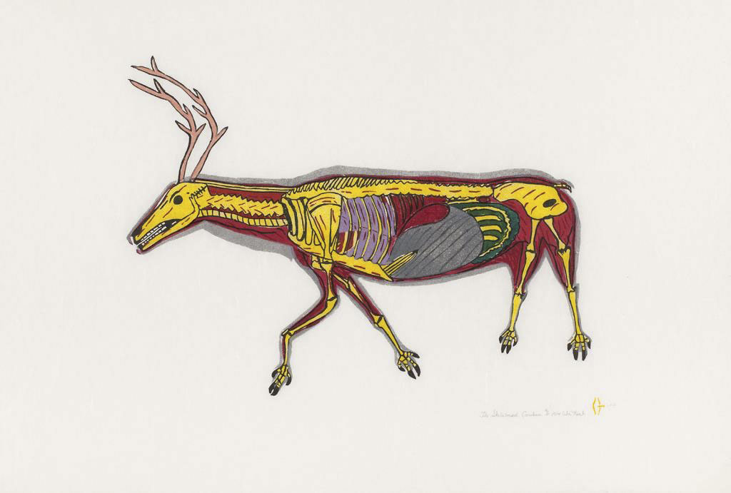NoahWilliamTheSkeletonedCaribou