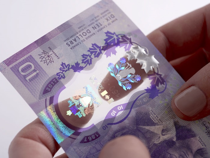 AshevakKenojuakOwlsBouquetTenDollarBill