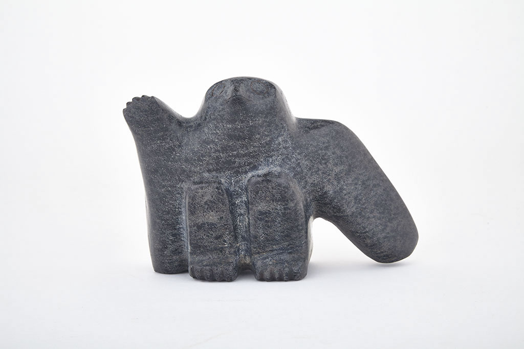 AkesukLatcholassieOwl