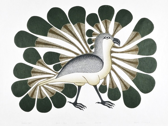 AshevakKenojuakAudaciousOwl